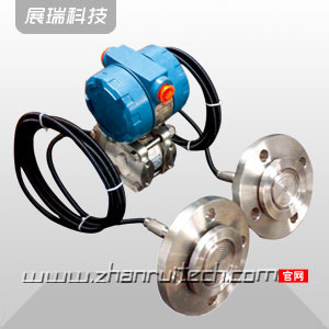 1151雙法蘭遠傳差壓變送器