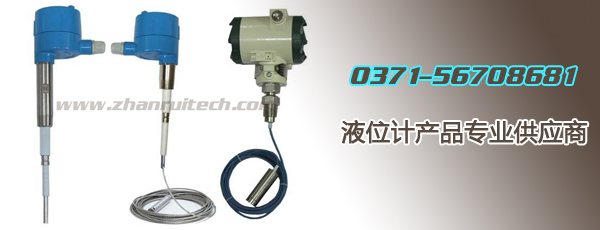 靜壓式液位計(jì)_浮球液位計(jì)